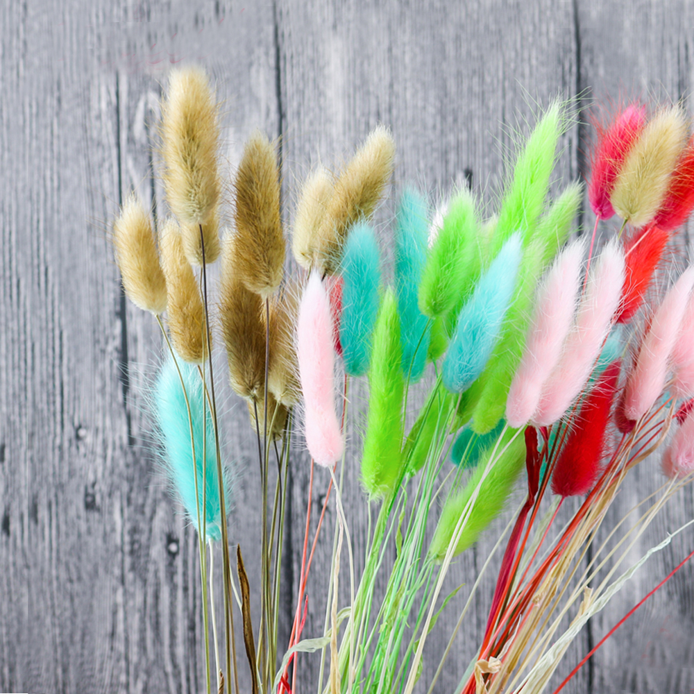 50pcs dried natural flower bou - огляд і ціна Dried Flower Bunch