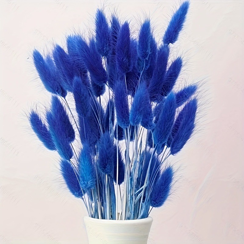 Imitation Rabbit Tails Grass D - огляд і ціна Dried Flower Bunch