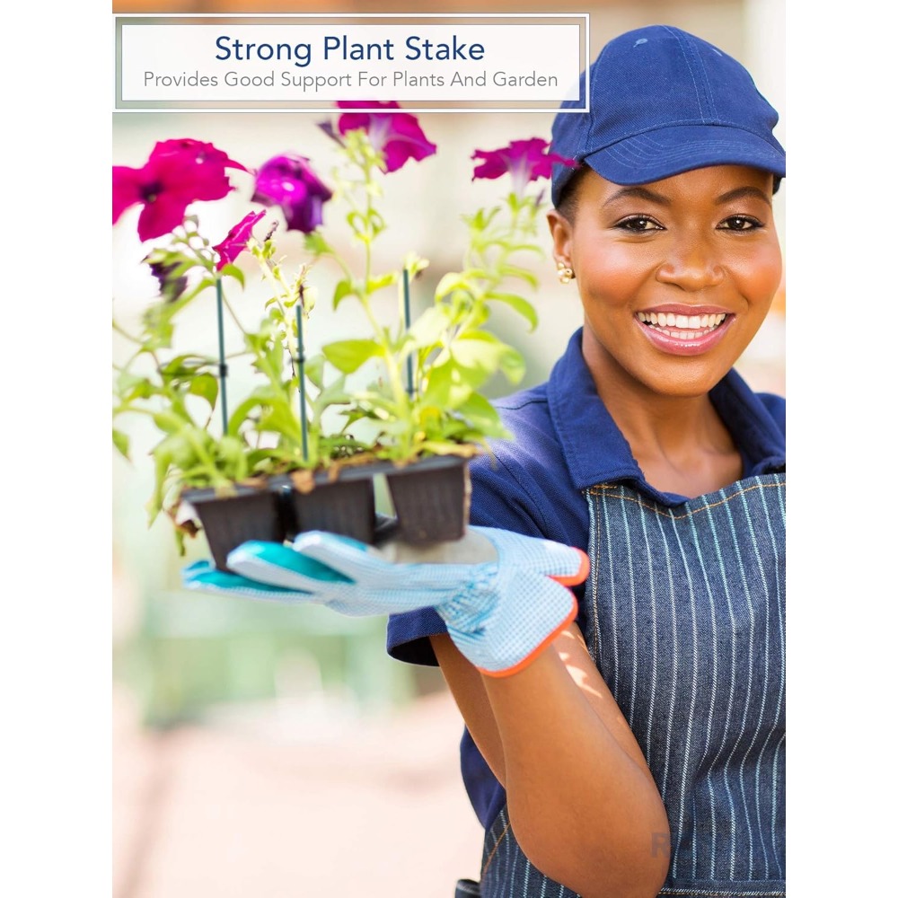 Green Wood Plant Stake, Floral - огляд і ціна Floral Picks Wood