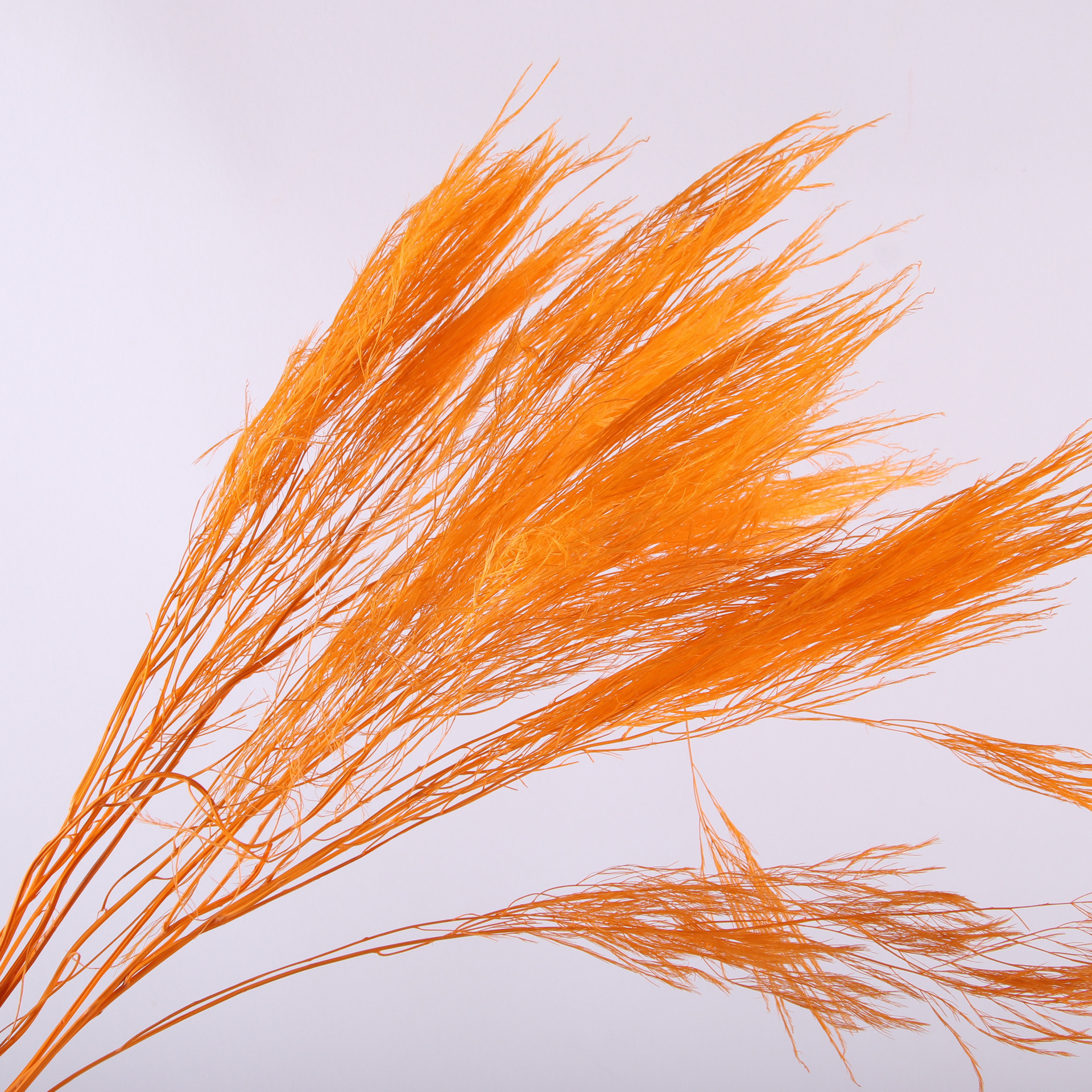 10pcs/bunch Dried Flower Bouqu - огляд і ціна Dried Flower Bunch