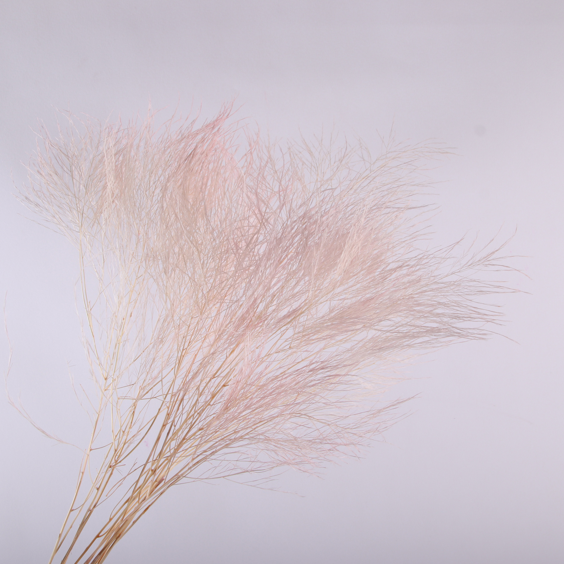 10pcs/bunch Dried Flower Bouqu - огляд і ціна Dried Flower Bunch