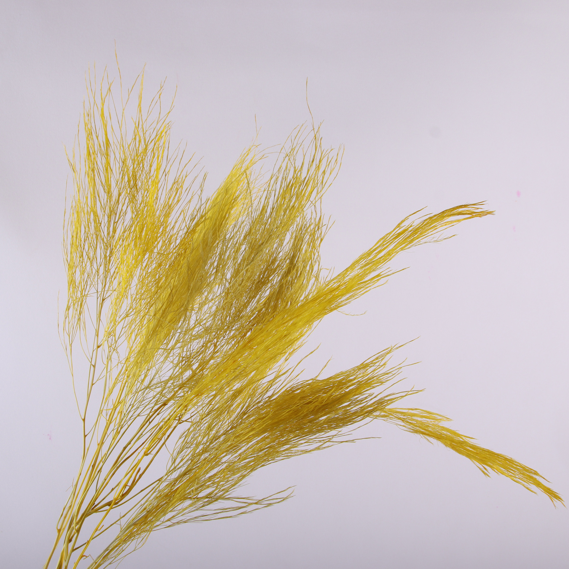 10pcs/bunch Dried Flower Bouqu - огляд і ціна Dried Flower Bunch