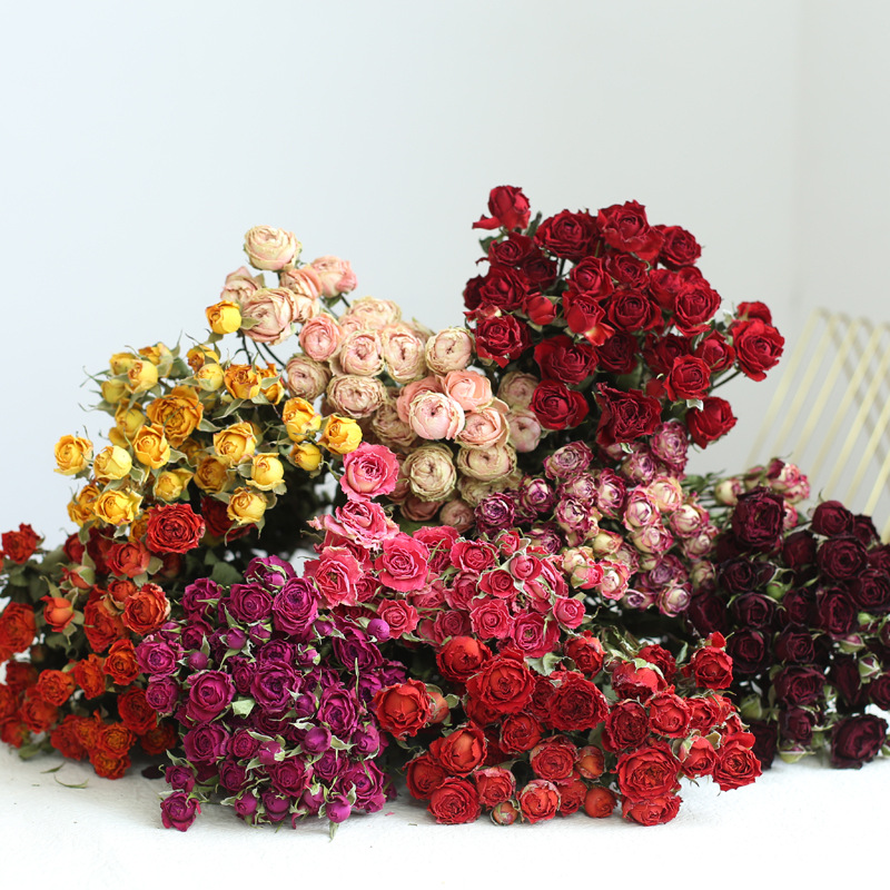 a lot Small Rose, Decorative N - огляд і ціна Dried Flower Bunch